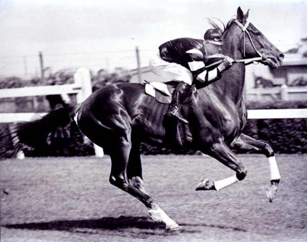 Phar Lap Wins Melbourne Cup