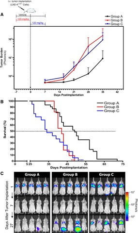 Brief antiangiogenic therapy increases metastasis