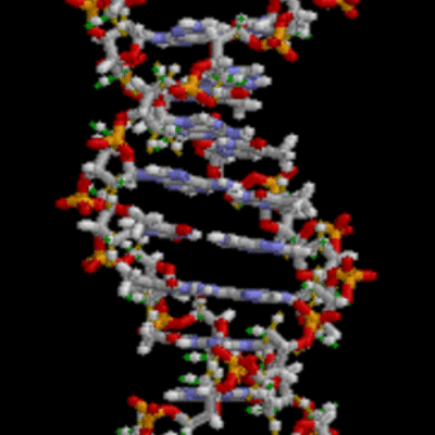 Timeline: The History of DNA