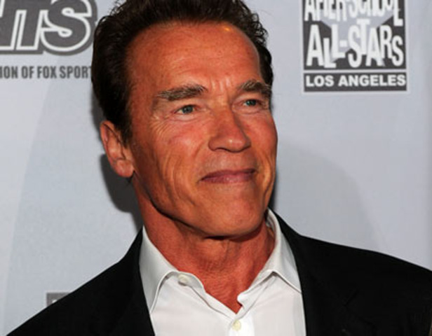 Arnold Schwarzenegger elected