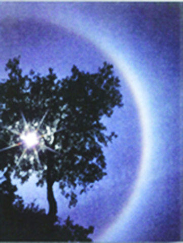 First Sustainability Report