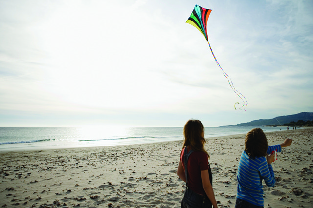 Healthy Future 2015 Goals