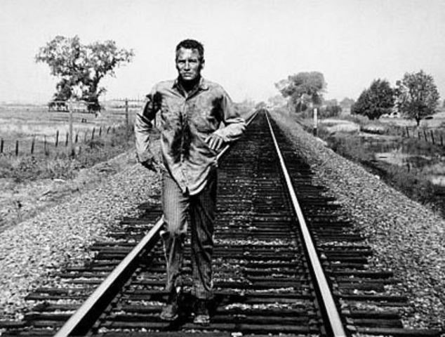 Saddam flees for a better life