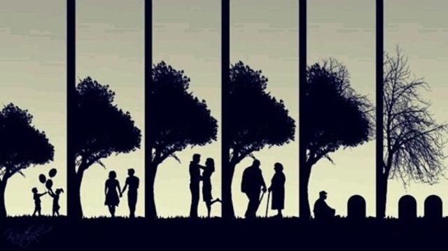 Career/Retirement, Travel