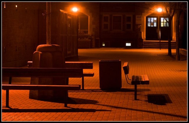 the day i came to duke