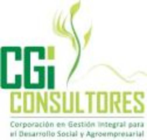 CREACION DE CGI CONSULTORES