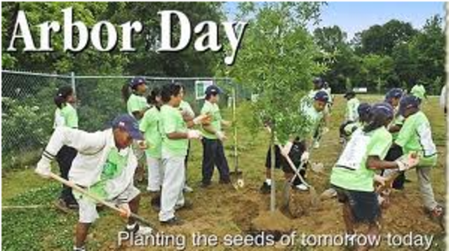 Arbor Day!!!