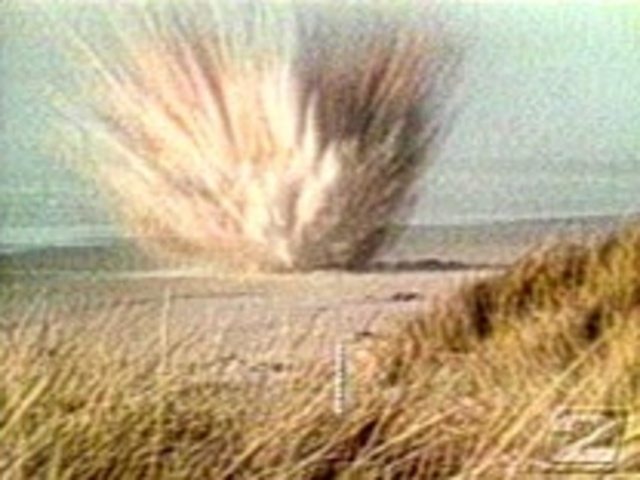 A whale explodes in Tainan City