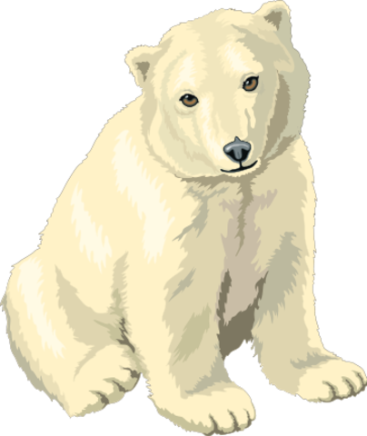 Wrote: Peter The Polar Bear