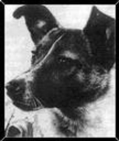 First dog in space.