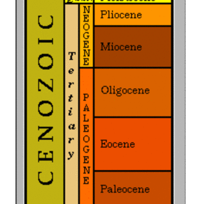 Timeline: Cenozoic Era Nick P
