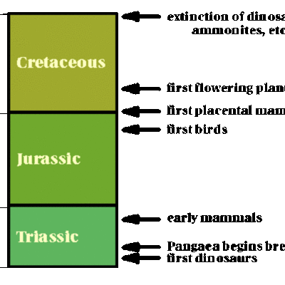 Timeline: mesozoic