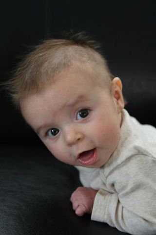 16 to 18 months - COGNITIVE