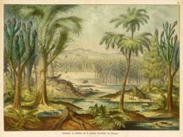 Carboniferous period