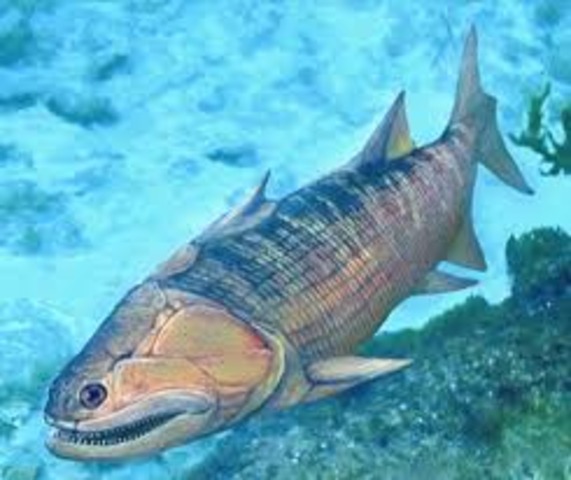 earliest fish evolve