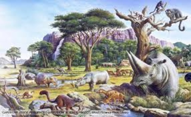 Paleocene Epoch