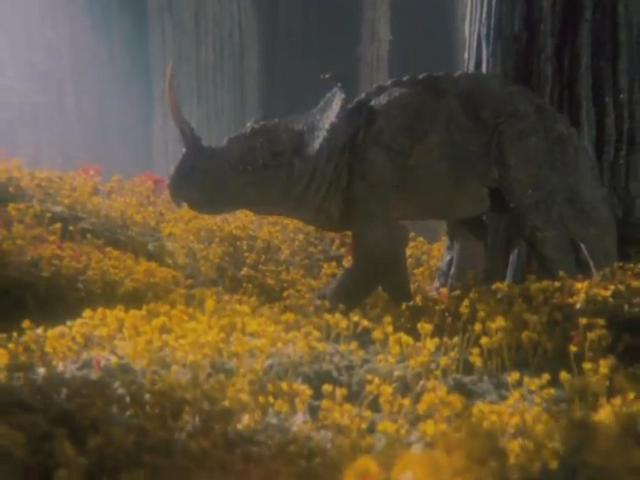 Flowers Begin to Bloom