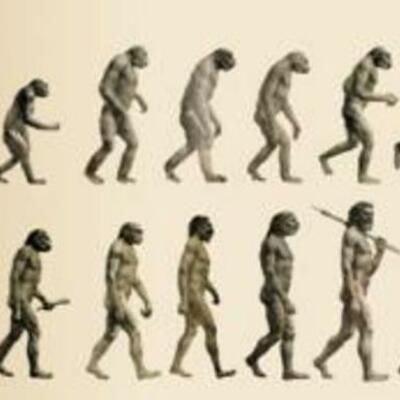 Timeline: EVOLUCION DEL HOMBRE