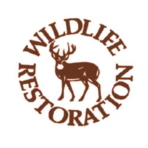 The Roaring Twentes and the Depression 1920-1940