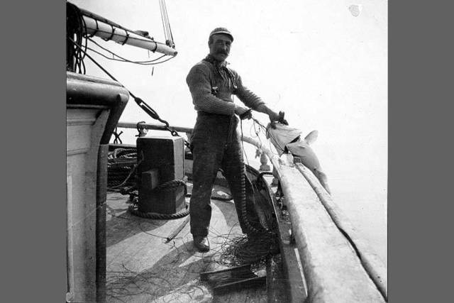 Commercial Salmon Fishing in Alaska