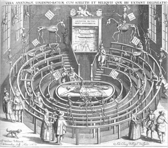 Theatrum Anatomicum opens in Amsterdam