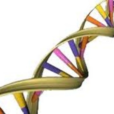 Timeline: Descubrimientos del ADN