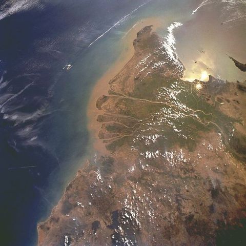 South Vietnam losses