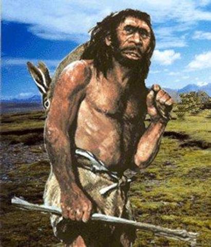 homo nendertal