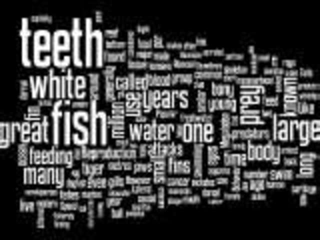 Exposition 3 & Charachters