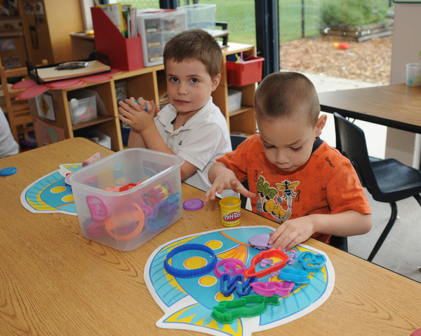 22-24 Months-Cognitive