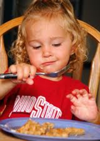 30-36 month old cognitive development