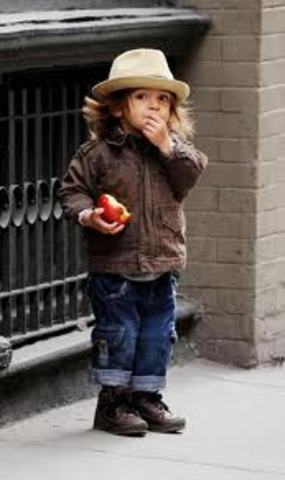 24-30 Months-Cognitive