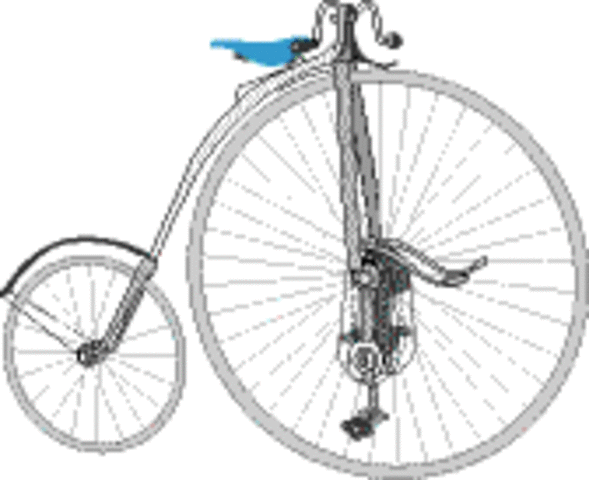 7th bike (the kangaroo)