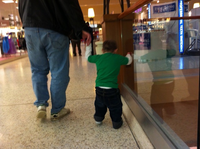 24-30 months physical