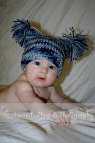 13- 15 Months Cognitive Development