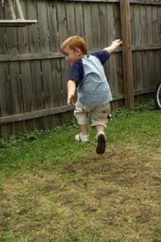 Physical Development: 30-36 months