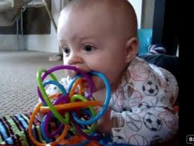 19- 21 Cognitive Development