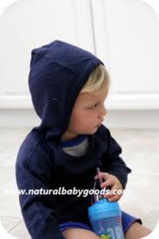 22- 24 Cognitive Development