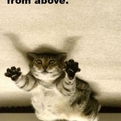 Timeline: Civil War in the Time Toaster