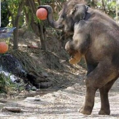 Timeline: United States Civil War