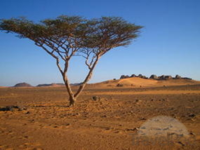 Conflict Rising Action 3