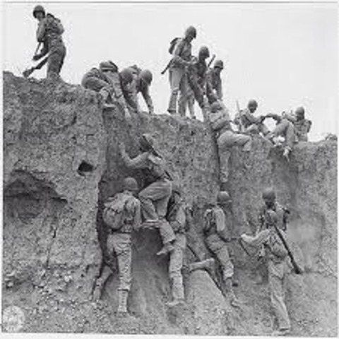 The War's Human Toll