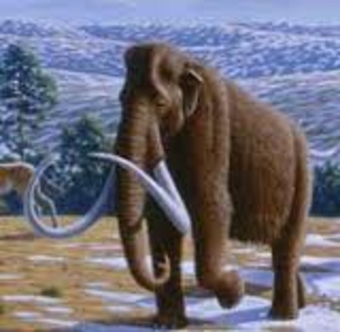 Empieza la era de hielo                 hace 370 M.A