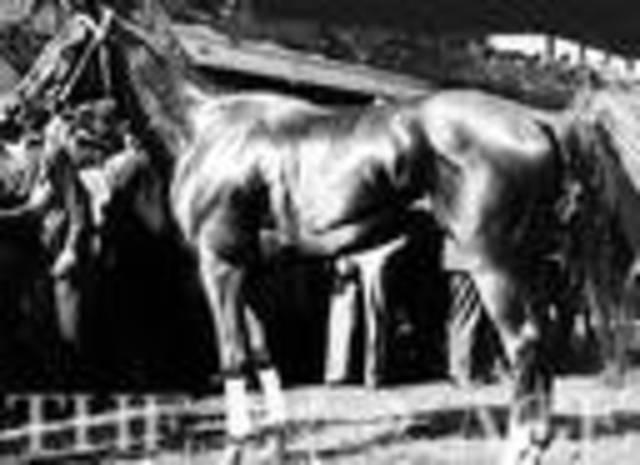 Phar Lap