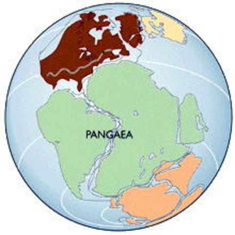 ca 250 miljoner år Pangea bildas