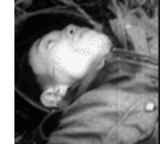 The South Vietnamese lost 200 men at Binh Gia