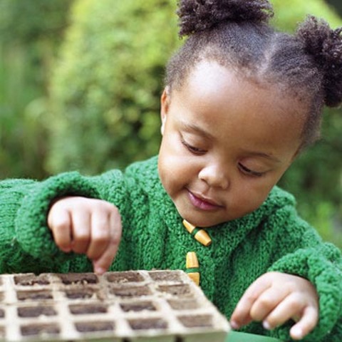 19-21 Months Cognitive Development