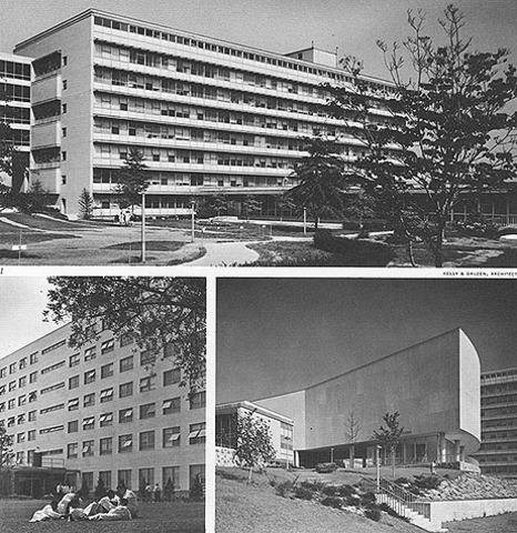 Albert Einstein College of Medicine