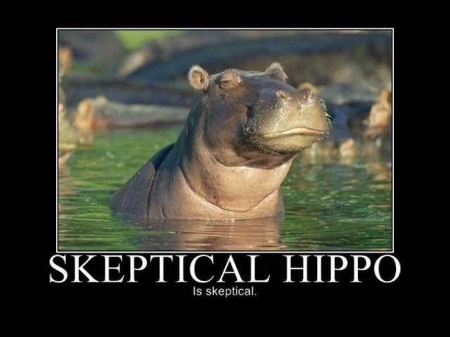 Modern Hippos
