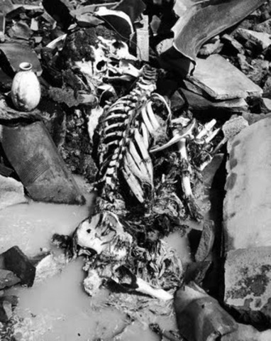 Hiroshima and Nagasaki